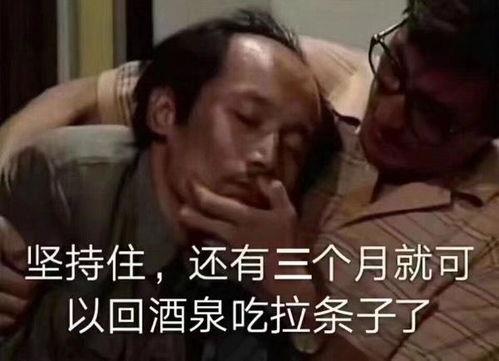 颓废葛优的表情包,演绎都市生活的无奈与幽默