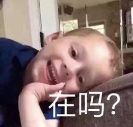 表情包很火的小男孩,网络红人的崛起与影响力